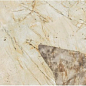AFXQ Marvel Desert Soul Lappato 60x120 Atlas Concorde