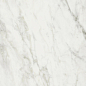 760029 Exalt Magic White Luc Ret 60x120 Cerim