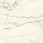 PK612575 Calacatta Macchia Vecchia Levigato Silk ret 60x120 Ariostea