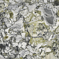 MML7261530 White Beauty Lucidato 300x150 Granitifiandre фото в миниатюре 4