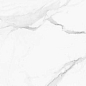 017.869.0001.12261 Calacata White 1 Rect. 60x120 Pamesa