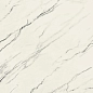 610010002716 Forte dei Marmi Lilac Rett 80x80 Atlas Concorde Russia