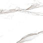 NR213 Takora White 60x120 PrimaVera