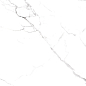 RT6015-A Statuario Fine Matt Rustic 60x60 Arcadia Ceramica фото в миниатюре 11