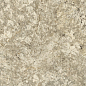 610010005676 F.d.M.Quark Brazilian Gold Grip 60x120 Atlas Concorde Russia