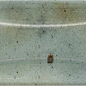 30042 Arco Celadon 6,5X20 EQUIPE