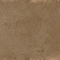 WT36ELR21 Elbrus Marron 300x600x9 New Trend