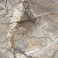 N20530 Golden River Carving 60x120 Neodom