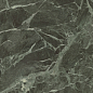 AHBL Anima Wonder Forest Lucidato 60x120 Caesar