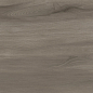 GP36GOA18 Goa Taupe матовый 300x600x8 Artkera Group