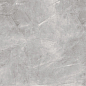 R_PR1018 Filito Grey Polished 60x60 Royce