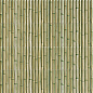 Bamboo Green 30x15 Mainzu фото в миниатюре 2