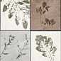 GT234VG Delia Мультиколор 30x60 Global Tile