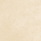WT9PET11 Petra Beige 24.9х50 AltaCera