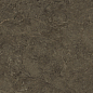 PT12F7039 Neapol Brown Matt 1200х600х9 Protiles