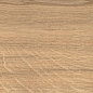 AX3B Log Icon Oak Forest Matte 20x120 Atlas Concorde