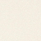 Black-White Snow 50x100 Kerlite
