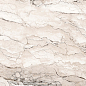 Rock Penguin White Carving 80x160 Realistik