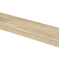 DCFVF746 Saloon Beige 30x120 RAKO