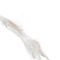 N20576 Statuario Irish Gold Matt 60x120 Neodom