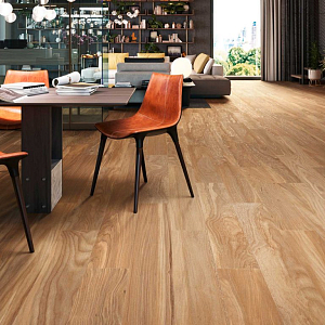 6610 Porcelanite Dos