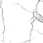 PR148 Siroco Polished 60x60 PrimaVera