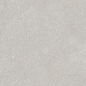 PT12F7048 Pietra Light Grey Matt 1200х600х9 Protiles