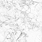 60120EVR00P Everest полированный 600x1200x7 New Trend