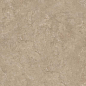 8167 Shell BG 60х60 Creto