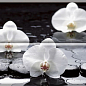 Composicion Wellness 02 White 30x45 (комплект 2шт) Absolut Keramika