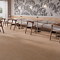 Cosmos Harmony фото в миниатюре 5