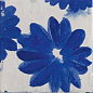 Portobello 20x20 Mainzu
