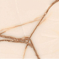 MOON Onyx Crema Sugar 60x60 ITC