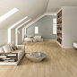 Naturel Edimax