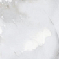 Cloudy Onyx Polished 60x120 Italica Tiles