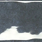 PT02913 Earth Atlantic Gloss 7.5x30 Ribesalbes