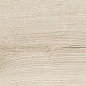189003 Quercus Betulla 22x120 Dune
