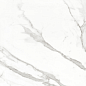 BMB8561CP Calacatta полированный 600x600 BODE