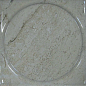 Pompeya Marfil Moon 20x20 Mayolica