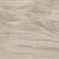 WD111 Forest Gold Terra 20x120 PrimaVera