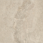 Dome Nut Rectificado 60x120 Baldocer