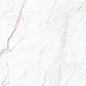 Arden White Velvet 60x120 Leopard