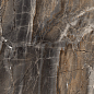 Electra Brown Полированный 60x60 Laparet