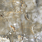 GELATA Oro Marrone High Glossy 60x120 Infinity Ceramica