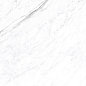 CP4003-A Coralina White Carving Pro 60x120 Arcadia Ceramica