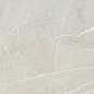 BB6NTT9101P Bright And Shiny 60x60 NT Ceramic