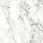 C229802211 Xlight Nuba White Polished (12 мм) 154x328 Urbatek