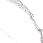 Prima Calacatta GP6PRI00 41*41 New Trend