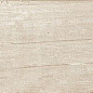 189003 Quercus Betulla 22x120 Dune