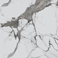R_PR1002 Calacatta Luxe Polished 60x60 Royce